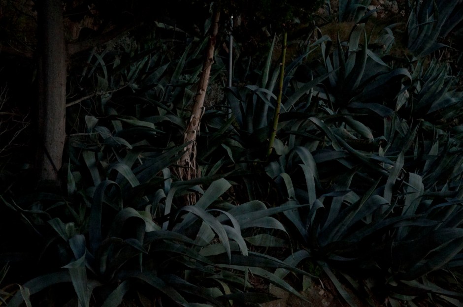 Komiža november 10, 2012