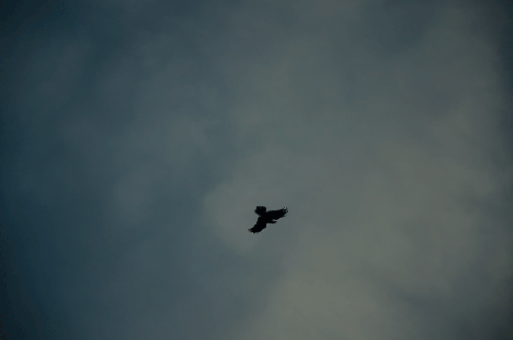 _DSC6994_2014-01-18--2_163524