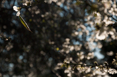 _DSC1324_2014-02-06_152218