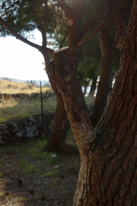 _DSC0583_2014-12-24_132422