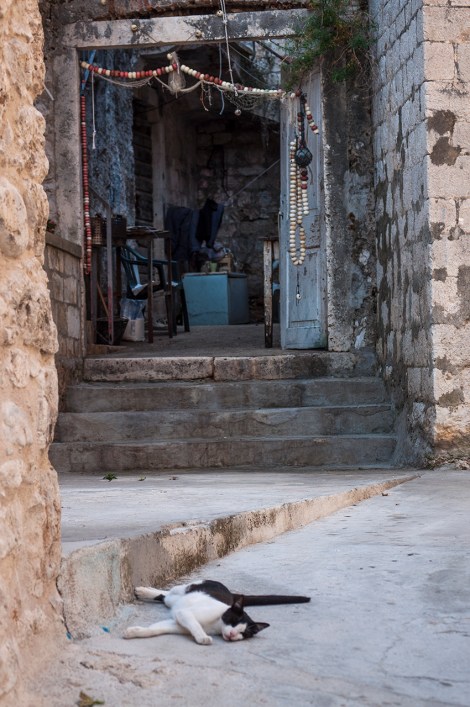 on that very day in Komiza