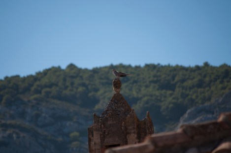 on that very day in Komiza